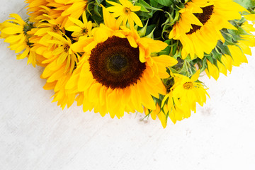 Sunflowers on white