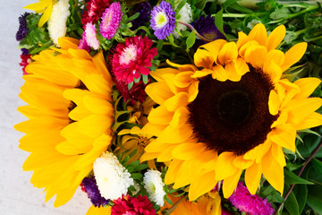 Fototapeta premium Sunflowers on white