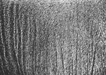 Background texture of genuine leather and wild deer fur. Brown and gray color of wild animal.