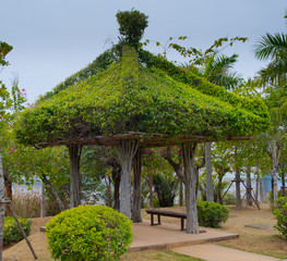 Pavilion with green pyramid roof  covered by leaves in Xiamen Horticulture Expo Garden