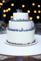 cake, wedding, white, food, dessert, birthday, celebration, sweet, decoration, party, icing, wedding cake, reception, flower, marriage, bakery, pink, love, decorated, celebrate, frosting, cream, flowe