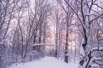 Morning dawn on the river. Pink sky. Winter landscape . Nature outside the city.