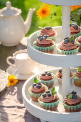 Closeup of brown cupcake made of cream and fresh berries