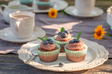 Closeup of sweet chocolate muffin in summer garden