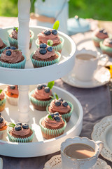 Chocolate muffin with blueberries and cream in summer garden