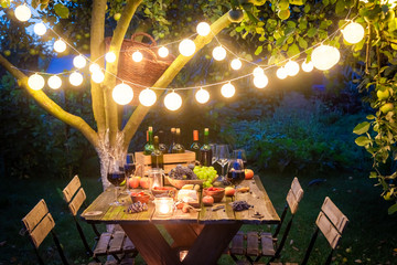 Supper with tasty appetizers and wine in summer evening