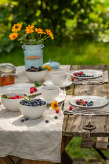Pancakes with fresh blueberries and honey in summer garden