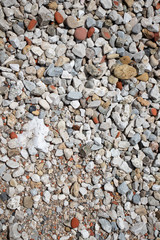 Pebbles