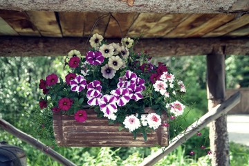 bouquet of hanging flowers