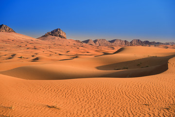 Fototapeta na wymiar Beautiful wide view of desert sand dunes in Maliha Fossil Rock in Sharjah, UAE