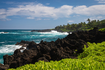 Black Coastline at Waianapanapa State Park, Maui, Hawaii, USA