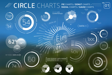 Circle Charts, Pie Charts, Donut Charts and Radial charts Infographic Elements