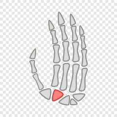 Human anatomy hand palm icon. Cartoon illustration of human anatomy hand palm vector icon for web