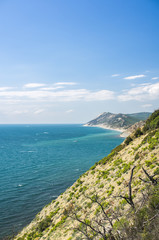 Fototapeta premium View from the mountain with trees to the sea under the blue sky with clouds. Vertical frame