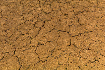 乾いた泥の模様　Pattern of dry soil due to drought