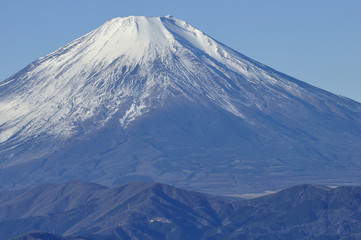 富士山を望む