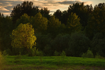 Dramatic sunset on the summer field.