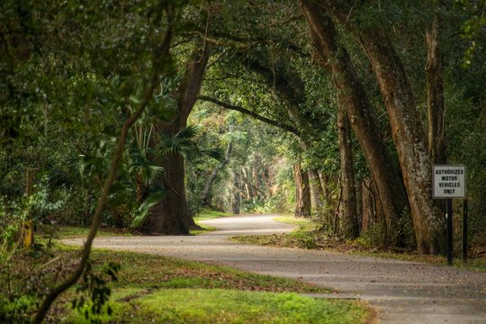 The path we take...