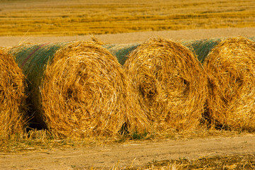 Hay bale