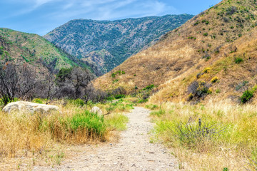 Fototapeta na wymiar landscape in the california mountains