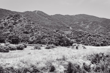 black and white mountain landscape