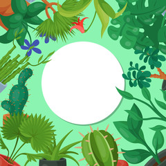 House flowers indoor floriculture round pattern vector illustration. Nature home decoration gardening. Indoor plants in flowerpot beauty decorative flora. Cozy succulent foliage exotic garden