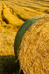 Hay bale