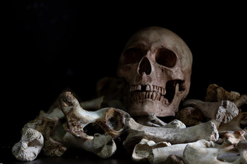 Obraz na płótnie Canvas skull and crossbones