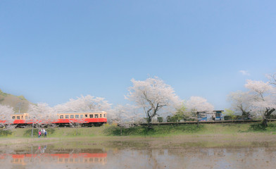 Fototapeta na wymiar 春の小湊鉄道