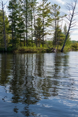 Reflections of coniferous trees onto the Chippewa Flowage in Hayward