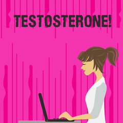 Text sign showing Testosterone. Business photo text Male hormones development and stimulation sports substance photo of Young Busy Woman Sitting Side View and Working on her Laptop