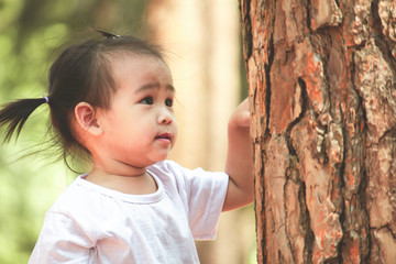 Asian little child girl explore to pine tree for studying the environment in the garden.