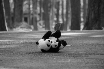The panda doll was left alone on the road in the pine forest. Emotional and Expression concept. © scentrio