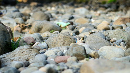 Stone in the Progo River in Central Java, Indonesia when dry season.