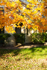 Naklejka premium Spring trees in Minnesota States