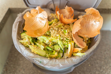 Organic leftovers and food scraps for recycying and composting