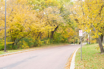 Spring trees in Minnesota States