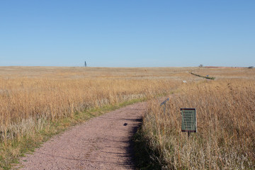 Spring trees in Minnesota States