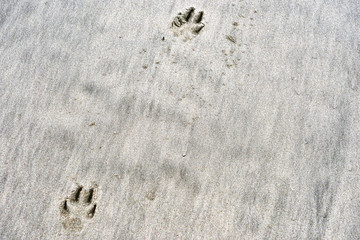 Stone and beautiful of sand pattern 