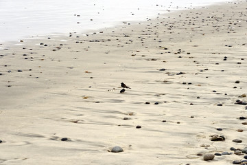 Stone and beautiful of sand pattern 