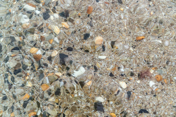 Seabed, view through clear water