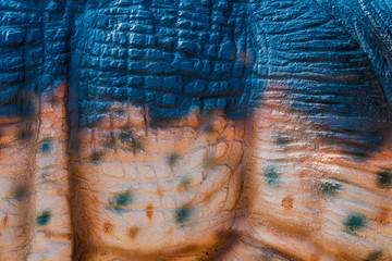 Close up to Colorful and patterns of  dinosaur model surfaces created with cement
