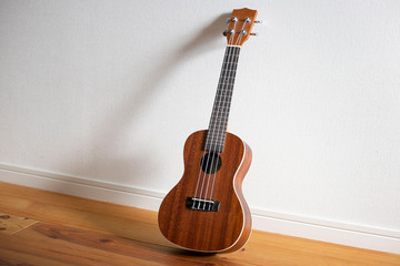 室内のコンサートウクレレ