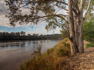 River Dawn with Reflection