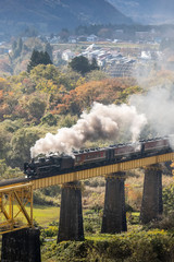 Obraz na płótnie Canvas Steam locomotive train Is spraying smoke running through the iron bridge