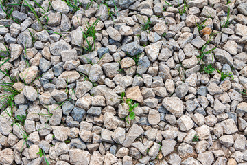 The background grows through the rubble grass.