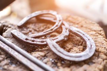 Modern horseshoes are most commonly made of steel and nailed into the hoof wall.