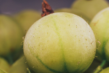 Beautiful fresh green gooseberry of Frozen. Macro view.