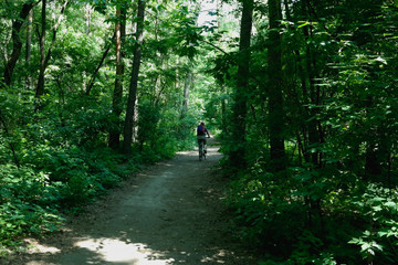Cyclist rides bicycle in the deciduous forest. Rear view.