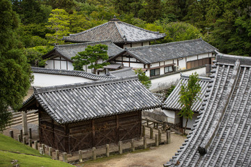 Fototapeta na wymiar Pitched tiled roofs of traditional Japanese buildings surrounded by lush green trees